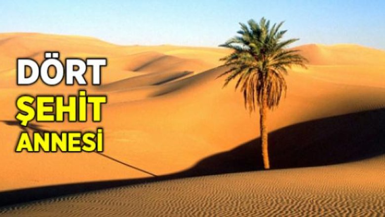 Hz. Hansâ (ra.) Kimdir?