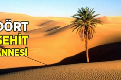 Hz. Hansâ (ra.) Kimdir?