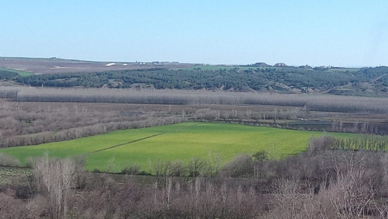 Göğün Sessiz Zikri