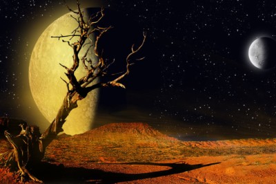 Giderek Ölmekte Olan Bir Dünya'da Yaşamak! | Bilimkurgu Kulübü