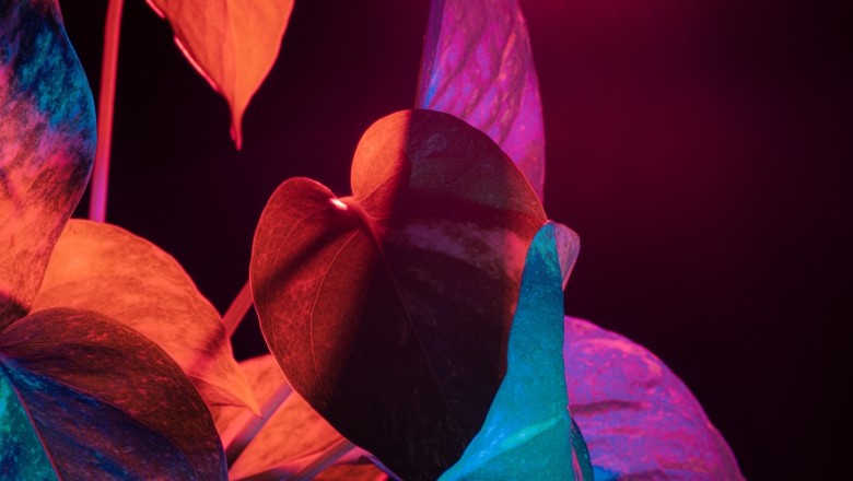 Dürtülerimizi kontrol edebilir miyiz: Refleksif ve reflektif tepkiler