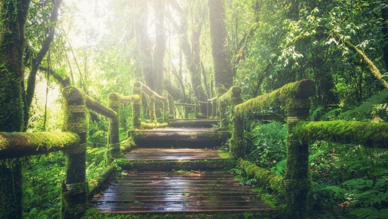 Müptezelin gömülü neşteri