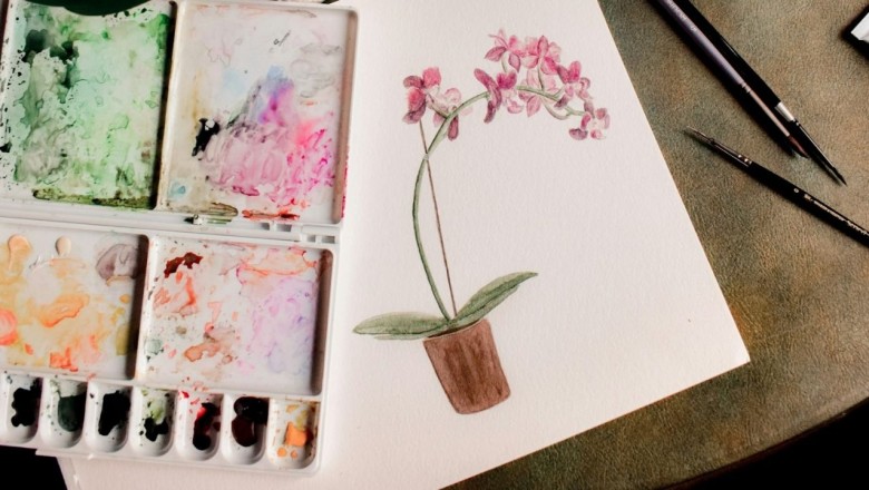 Öz disiplin nedir ve hobi edinmek bu özelliği nasıl geliştirir?